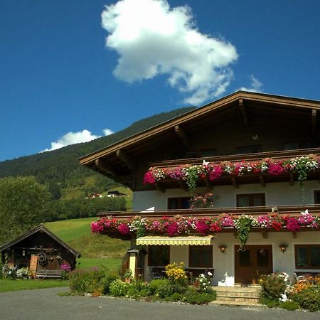 Pension Forsthof Maishofen Exterior foto