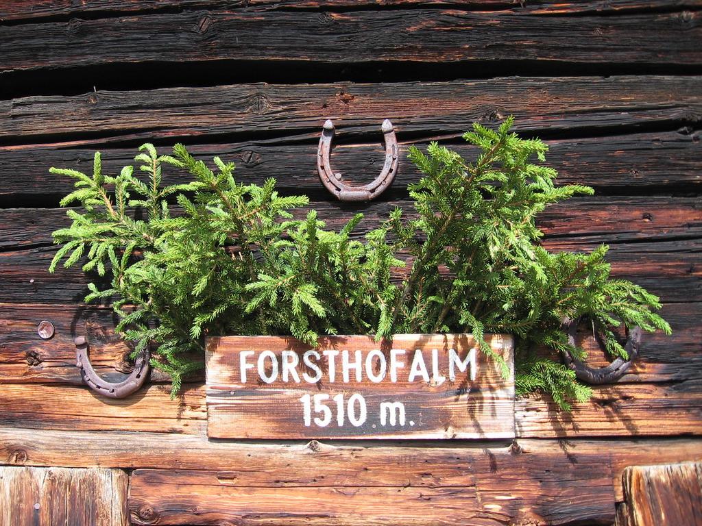 Pension Forsthof Maishofen Exterior foto